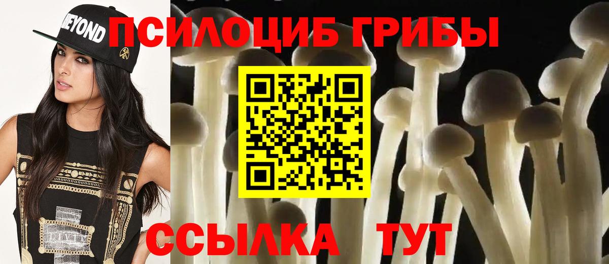 Добрянка  где купить наркоту  Вход с VPN  Галлюциногенные грибы Magic Shrooms 