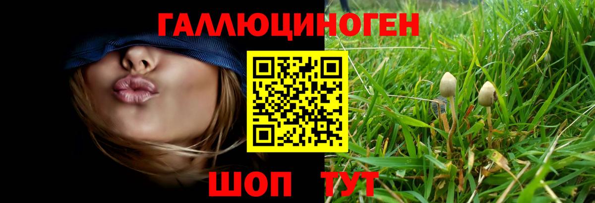 Галлюциногенные грибы MAGIC MUSHROOMS Добрянка